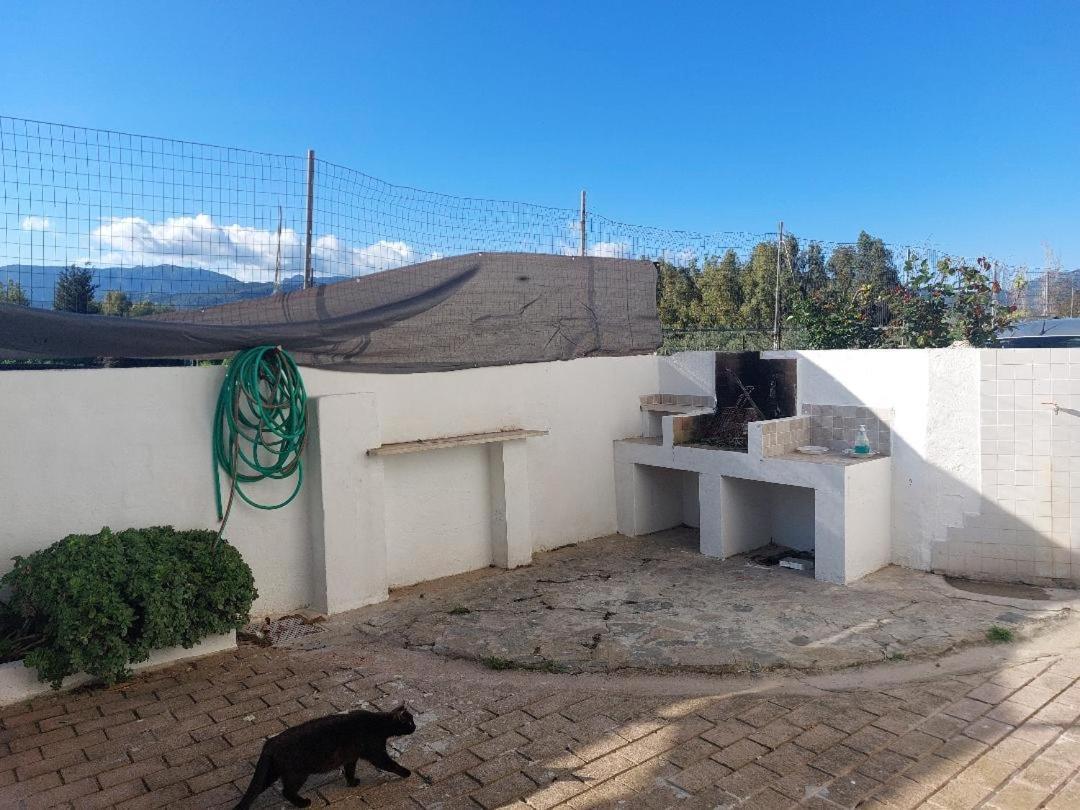 Casa Juanne Iun P2043 Apartman Galtellì Kültér fotó